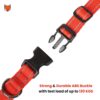 Wooflix Reflective Leash & Collar Combo Set for Medium Large Dogs Durable Strong Dog Collar Belt & Dog Leash for Medium & Large Dogs Training & Walking Lead Dog Leash (Red Reflective, Medium)