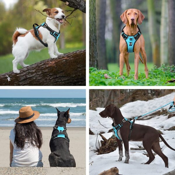 71E2RTdW2gL._SL1000_.jpg HANK Dog Harness Leash Set - Soft Comfortable Handle - Dog Vest for Small Breed - No Pull Harness - Dog Vest for Training - Walking (Cyan Blue - S (Harness + Leash)