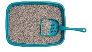 Advance Cat Litter 20 KGS