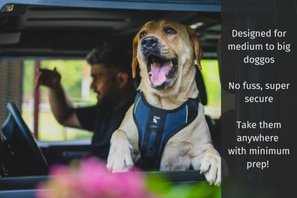 71EZWIbbhAL._SL1500_.jpg Diggin All-Day Dog Harness - Adjustable, Durable & Reflective Vest Harness for Outdoors - High Denier Ripstop Fabric with Industrial Strength Nylon Webbing (Small | Medium, Sand Beige)