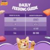 71Ea15URh5L._SL1500_.jpg Purina Friskies Surfin' Favourites Adult Dry Cat Food, 6kg, Contains Mackerel, Tuna, Salmon & Sardine Flavours