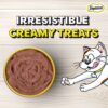 Temptations Creamy Purrrrr-ée Lickable Cat Treats, Salmon & Cheese Flavour, 48 G, Made with Real Fish, Goodness of Protein, Vitamins & Minerals,All Life Stages