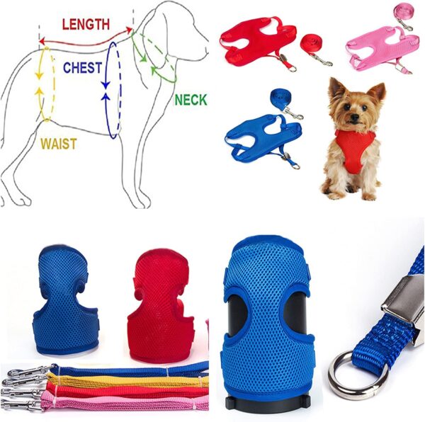 Woofy Puppy Harness and Leash Set No Pulling Plaid Walking Harness Adjustable Mesh Dog Harness with Bow Pet Comfort Padded Vest for Small Dogs and Cats (Size- Small) (Fit Weight 1-5 kg) - Multicolor