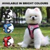 Reflective Dog Harness with Adjustable Leash|Breathable Polyester Mesh Fabric with Top Carry Handle|Small Size|HAT-818|Comfortable No-Pull Grip|Quick Release Buckles|Stylish Design|Red