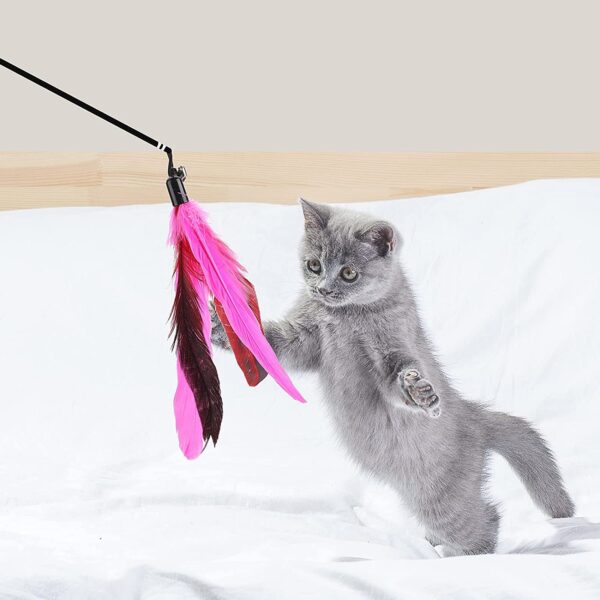 The Pets Company Cat Wand Teaser Toy | Feather + The Pets Company Cat Wand Teaser Toy | Feather + Big Fur Feather Ball | for Kittens + Older Cats | Interactive Cat Playing Toy | Set of 2
