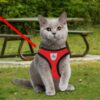 Kuber Industries 1 to 3 Months Small Dog/Cat Chest Harness with Nylon Leash I No Pull, Soft Padded and Breathable Pet Vest I Adjustable, Reflective I Easy Control Pet Chest Belt I (XX-Small,Red)