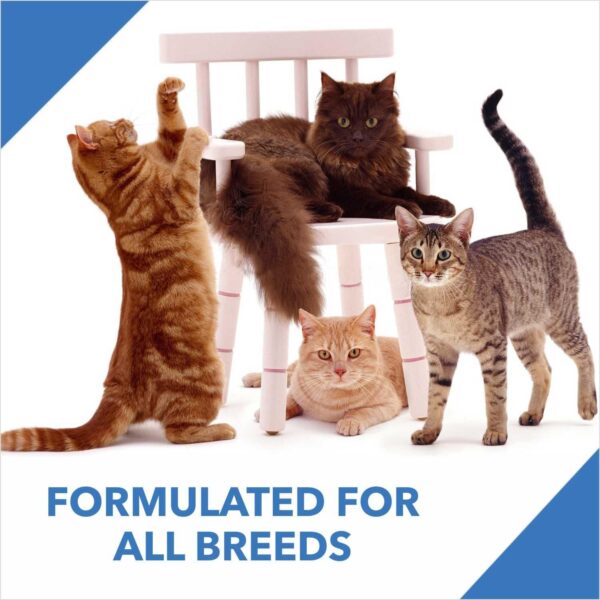 71F4QL9QhOL._SL1500_.jpg Drools Dry Adult Cat Food Ocean Fish 7kg with 5kg Drools Cat Litter Free