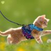 KUTKUT Cat Harness and Leash Set for Walking - Soft Mesh Adjustable Vest With Reflective Strap, Comfort Fit for Pet Kitten Puppy (Size: M, Chest: 28cm - 32cm)