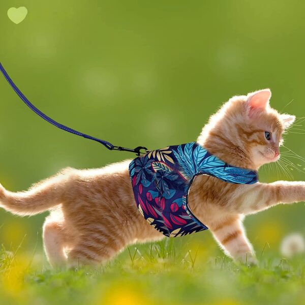 KUTKUT Cat Harness and Leash Set for Walking - Soft Mesh Adjustable Vest With Reflective Strap, Comfort Fit for Pet Kitten Puppy (Size: M, Chest: 28cm - 32cm)