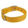 MUNCHOS Double Strip Dog 1.25 Inchi Collar for Large Dogs (Colour May Vary)
