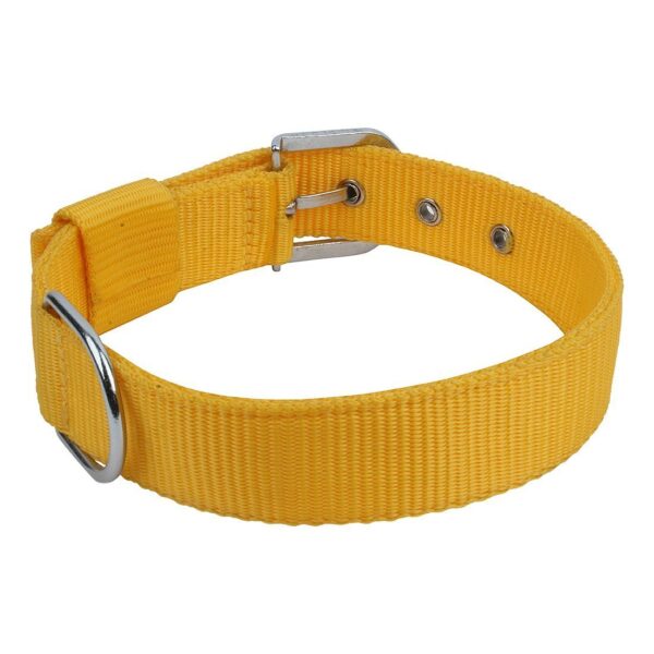 MUNCHOS Double Strip Dog 1.25 Inchi Collar for Large Dogs (Colour May Vary)