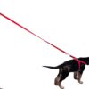 Adjustable Breathable Dog Chest Belt Harness and Padded Leash Belt for Adult Breeds | Comfortable for Training, Walking, Running (Red Color - 1 Inch)