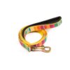 PetWale Dog Leash with Padded Handle | Suited for Walking, Running, Training & More | Colourful Stripes Print | Easy to Clean & Maintain | Durable & Sturdy | L: 5 feet, W: 0.75 inches