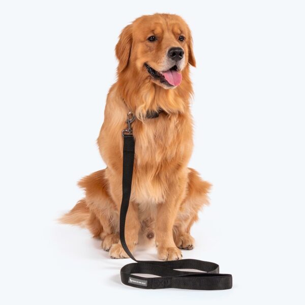 HUFT Basics Dog Leash - Classic Black - S