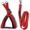 Adjustable Breathable Dog Chest Belt Harness and Padded Leash Belt for Adult Breeds | Comfortable for Training, Walking, Running (Red Color - 1 Inch)