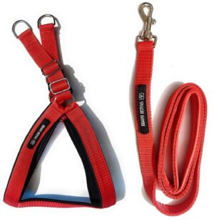 Adjustable Breathable Dog Chest Belt Harness and Padded Leash Belt Adjustable Breathable Dog Chest Belt Harness and Padded Leash Belt for Adult Breeds | Comfortable for Training, Walking, Running (Red Color - 1 Inch)