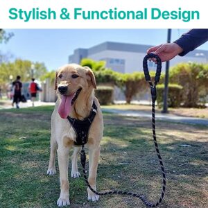 Reflective Adjustable Pet Leash for Dogs and Cats| Durable and Comfortable| Strong Nylon with Padded Handle| Straps Dogs Perfect for Harness and Neck Collar Belts
