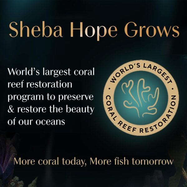 Sheba Rich Premium Adult (1+ Years) Wet Cat Food, Fish with Dry Bonito Flavour, 35 g Pouch (Pack of 12), High-moisture wet food for healthy hydration