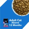 71GEgqEgm2L._SL1500_.jpg Drools Cat Adult Dry Cat Food Mackerel 1kg with Free Cat Creamy Treat 75g