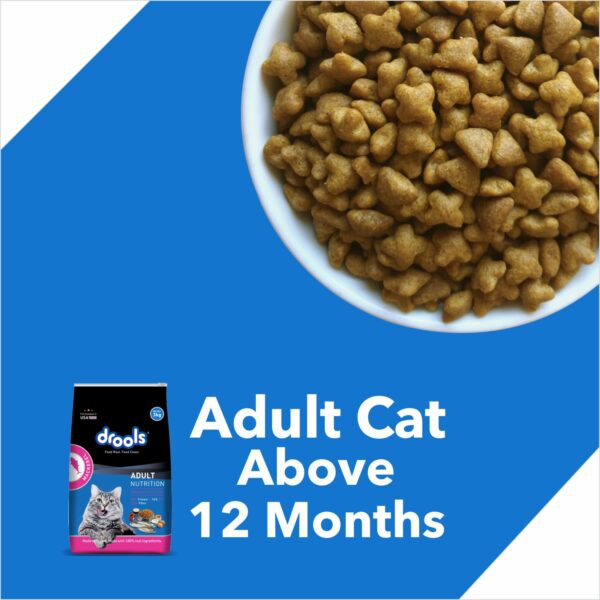 71GEgqEgm2L._SL1500_.jpg Drools Cat Adult Dry Cat Food Mackerel 1kg with Free Cat Creamy Treat 75g