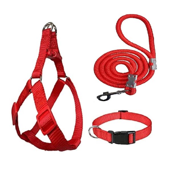 No Pull Dog Harness - Step in and Leash for Small Medium Large Dog - Escape Proof Adjustable Soft Dog Harness Leash Collar Set for Walking Training Hiking Outdoor (Bright RED)