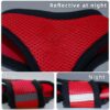 Reflective Dog Harness with Adjustable Leash|Breathable Polyester Mesh Fabric with Top Carry Handle|Small Size|HAT-818|Comfortable No-Pull Grip|Quick Release Buckles|Stylish Design|Red