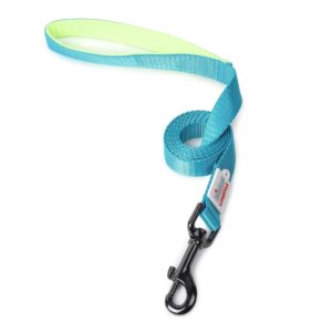 Zigly Lifestyle Classic Dog Leash-Large-Neon Green | Long Padded Leash Zigly Lifestyle Classic Dog Leash-Large-Neon Green | Long Padded Leash for Large Dogs | Comfortable Strong Leash for Pets