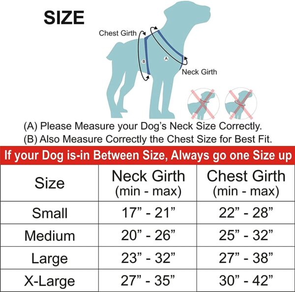 71Hp1TLhZqL._SL1500_.jpg Dog Belt Padded Dog Vest Harness Adjustable Neck Strip Chest Strip & Adjustable Dog Padded Rope Leash (Black, Large)
