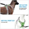 71IDuA1oU2L._SL1500_.jpg HANK Dog Harness Leash Set - Soft Comfortable Handle - Dog Vest for Small Breed - No Pull Harness - Dog Vest for Training - Walking (Neon - Grey - S (Harness + Leash)