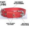RvPaws Dog Belt Combo of 1 Inch Nylon Collar with Heavy Dog Chain 63 Inch Lengthy Dog Collar Chain (Red)