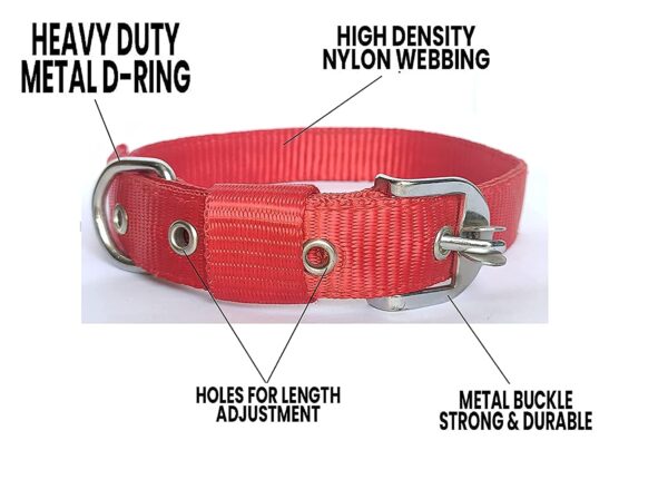 RvPaws Dog Belt Combo of 1 Inch Nylon Collar with Heavy Dog Chain 63 Inch Lengthy Dog Collar Chain (Red)