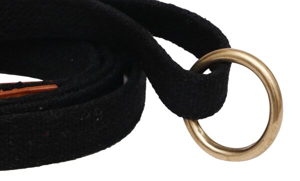 71IRT2F5twS._SL1500_.jpg Vama Leathers Patent Applied Product Sustainable & Eco Friendly Material Dog Leash 100% Cotton Canvas with Sturdy Solid Brass Hand Made for Small Dogs Length-5 Feet Width-3/4 Inches Color Black