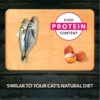 Meat Up Adult Dry Cat Food, 1.2 Kg (Buy 1 Get 1 Free ), Total 2.4 kg Pack
