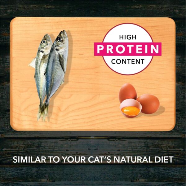 Meat Up Adult Dry Cat Food, 1.2 Kg (Buy 1 Get 1 Free ), Total 2.4 kg Pack