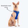 71JACbMFZEL._SL1500_.jpg HUFT Active Pet Dog Harness - Royal Blue (S) | Lightweight Adjustable Harness for Puppies, Small Dogs, and Medium Dogs | Durable and Stylish Dog Leash and Harness for Training & Everyday Use