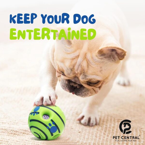 71JATdBkNBL._SL1500_.jpg Interactive Toy Ball for Dogs Bouncing Giggle Ball Chew Ball for Aggressive Dogs Molar Dog Ball Self Moving Dog Toys Green Fun Ball for Medium and Large Dogs Pet Supplies – 5.5”x 5.5”