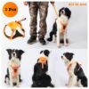 Sunkizzrs® Dog Harness with Retractable Leash, Adjustable Dog Chest Belt with Reflective Strip (Orange, Medium)