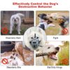 Emily Pets Dog Muzzle to Prevent Barking, Biting and Chewing, Soft Rubber Basket Muzzle for Small, Medium and Large Dogs (1 - Poodle, Grey)