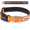 WOOFLIX Reflective Dog Collar For Training And Walks|Adjustable Nylon Training Collar With Tactical Buckle And D-Ring For Medium And Large Dogs|Reflective Dog Collar|(Medium, Orange, 13 Cm X 15 Cm)