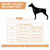 71KiO4XaXL._SL1500_.jpg Premium Reflective Vest Dog Harness | Soft Breathable Mesh and Oxford Nylon Fabric | Padded Control Handle with No Pull Front & Back Clip | Adjustable Strap & Dual Lock Buckle (Small, Sea Green)