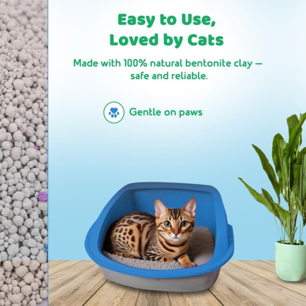 Cat Litter 5kg Jasmine | Premium Bentonite Clay, Gentle on Paws, Low Dust | Floral Fragrance & Fast-Clumping Cat Litter for a Fresh Litter Box