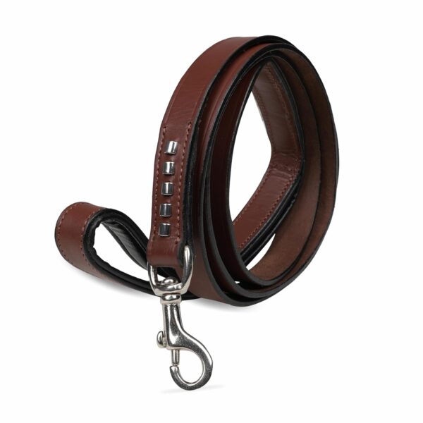 PetsUp Leash Genuine Leather Dog Leash – Heavy Duty, Durable, and Comfortable for Medium and Large Dogs-Training and Walking Lead