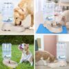71KG-biMqWL._SL1001_.jpg Cyrox 3.5 Litter Self-Dispensing Gravity Pet Food Feeder Bowl Water and Food Cat Feeder Bowl and Automatic Water Dispenser Bottle (1Pcs)