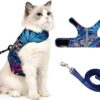 KUTKUT Cat Harness and Leash Set for Walking - Soft Mesh Adjustable Vest With Reflective Strap, Comfort Fit for Pet Kitten Puppy (Size: M, Chest: 28cm - 32cm)