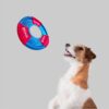 BarkButler x FOFOS Born Wild Frisbee Dog Toy - Red, Durable & Lightweight Pet Toys, Crinkle Paper Inside, Dog Toys for Medium Dogs to Large Dogs (10-30 kgs) of All Breeds