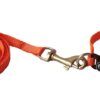 The Pets Company Leash and Collar Set Suitable for Puppies The Pets Company Leash and Collar Set Suitable for Puppies of All Dog Breeds, X-Small, Orange