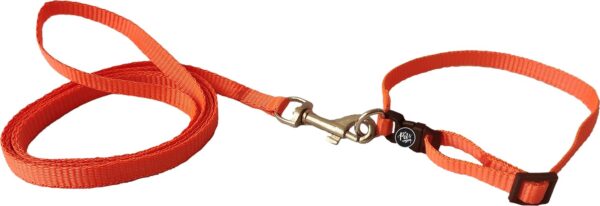The Pets Company Leash and Collar Set Suitable for Puppies The Pets Company Leash and Collar Set Suitable for Puppies of All Dog Breeds, X-Small, Orange