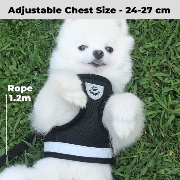 Kuber Industries Dog Chest Harness with Nylon Leash I No Pull, Soft Padded and Breathable Dog Vest I Adjustable, Reflective I Easy Control Dog Chest Belt I (XS, Black)