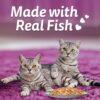71LLo4KRnxL._SL1100_.jpg Whiskas Tasty Mix Adult (1+ Year) Wet Cat Food, Chicken with Tuna & Carrot in Gravy, 70 g, Pack of 28| Made with Real Fish| Complete & Balanced Nutrition for Adult Cat