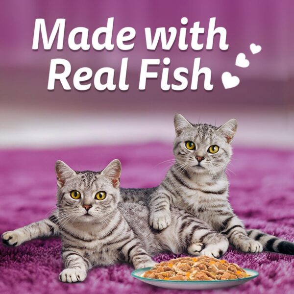 71LLo4KRnxL._SL1100_.jpg Whiskas Tasty Mix Adult (1+ Year) Wet Cat Food, Chicken with Tuna & Carrot in Gravy, 70 g, Pack of 28| Made with Real Fish| Complete & Balanced Nutrition for Adult Cat